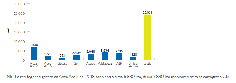 Grafico 46 - Reti fognarie del gruppo in Italia (2018)